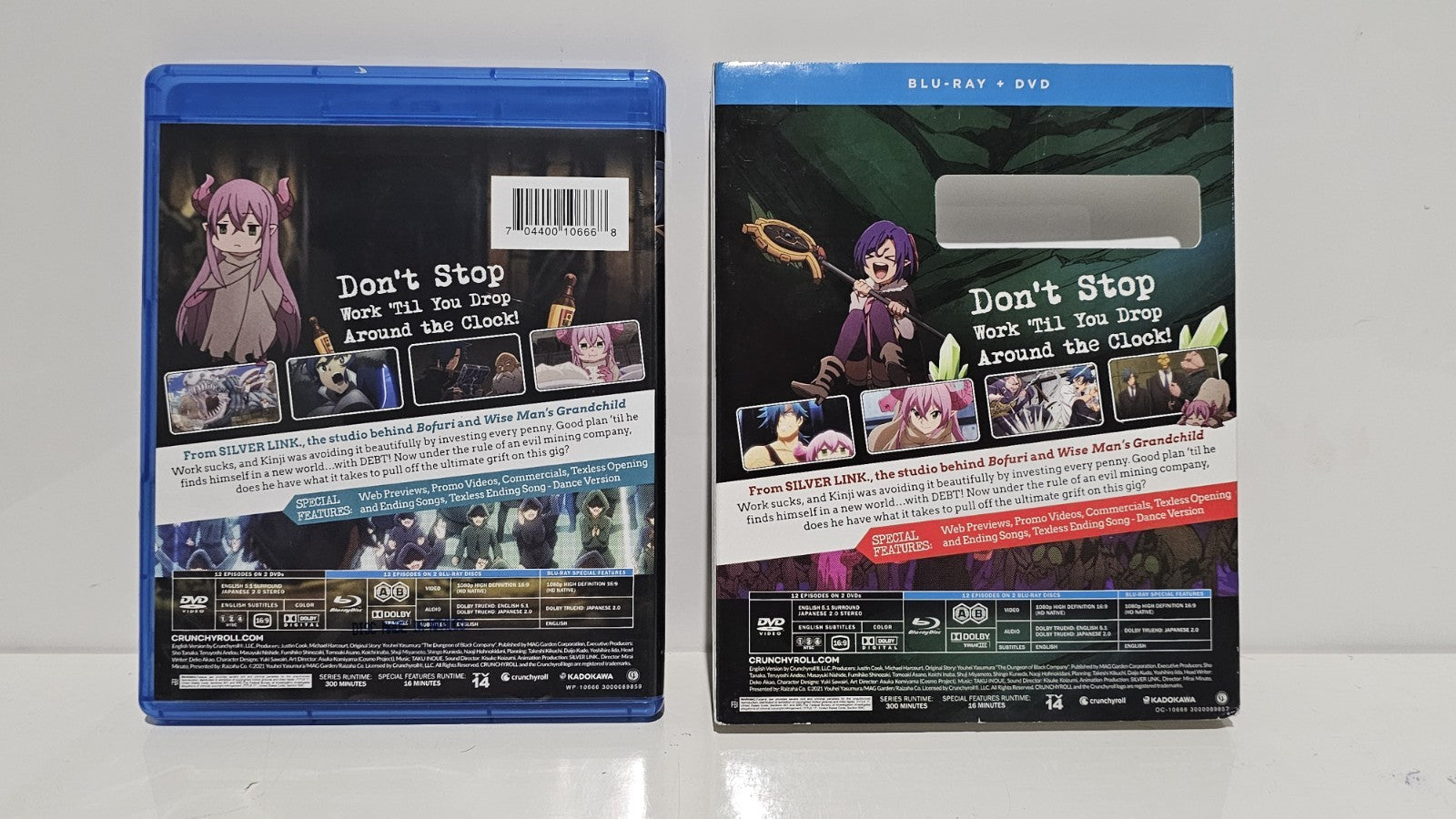 The Dungeon Of Black Company: The Complete Season (Blu-ray/DVD, 4-Disc, 2022) Dvd Box Set Retro Exchange Australia